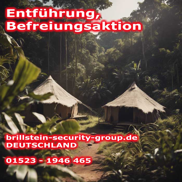 Brillstein Security Fixer Services