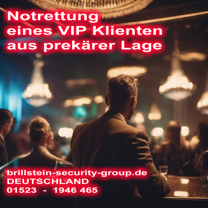 Brillstein Security Privatdetektiv Hamburg